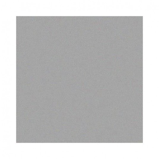 LAKIER CHAMPION METALLIC SREBRNY 400ml -zdjęcie numer 1