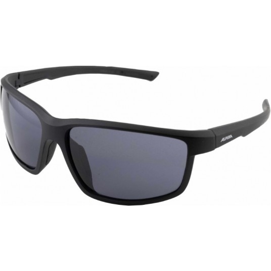 OKULARY ALPINA DEFEY MAT BLACK szkło BLACK -zdjęcie numer 1