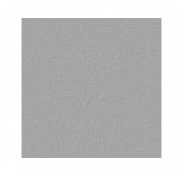 LAKIER CHAMPION METALLIC SREBRNY 400ml