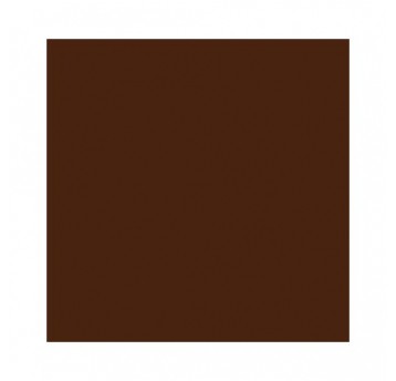 LAKIER CHAMPION ORZECHOWY 400ml RAL8011