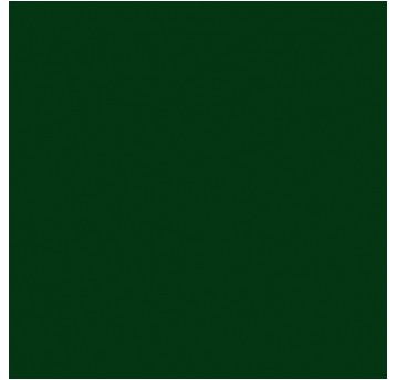 LAKIER CHAMPION ZIELONY MECH 400ml RAL6005