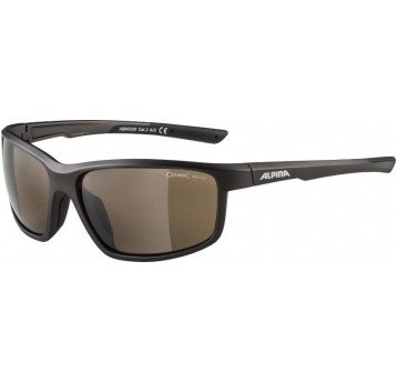 OKULARY ALPINA DEFEY TIN BLACK szkło BROWN